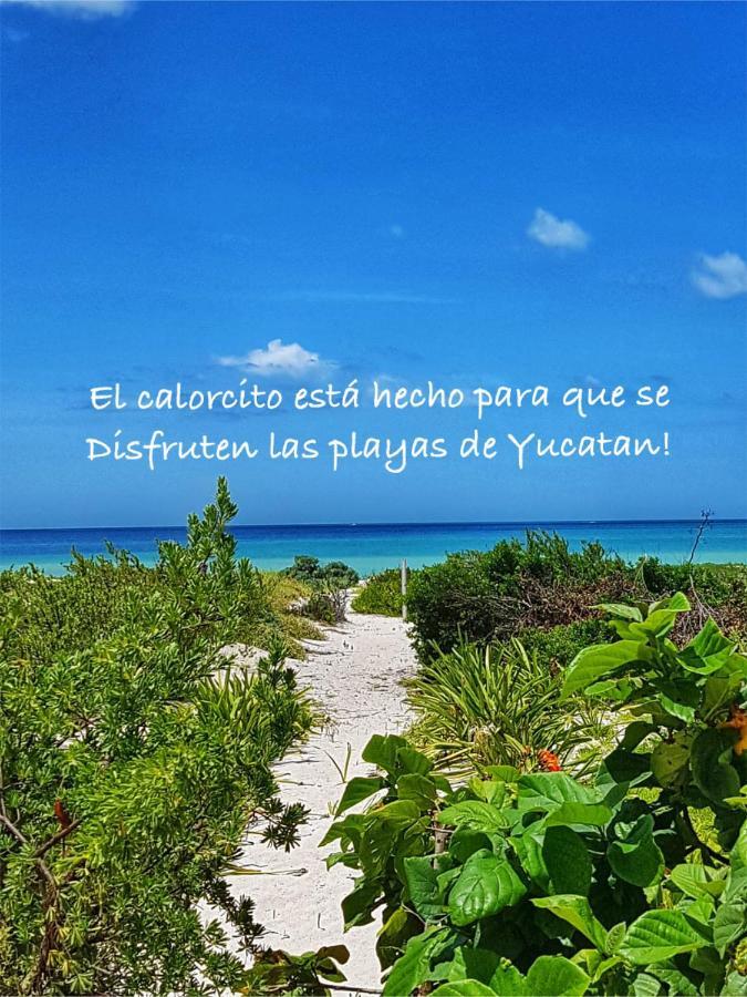 Villa La Casa del Mangle Pueblo Pueblo Chicxulub Esterno foto
