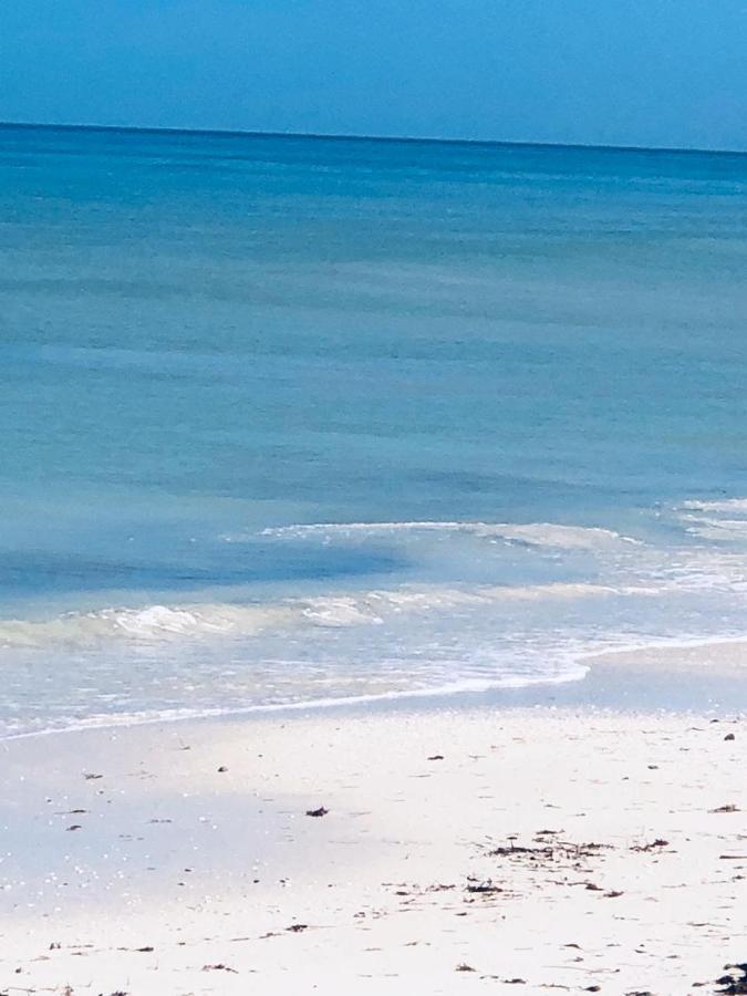 Villa La Casa del Mangle Pueblo Pueblo Chicxulub Esterno foto